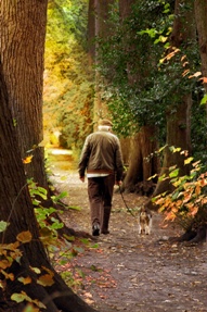 Herbstspaziergang