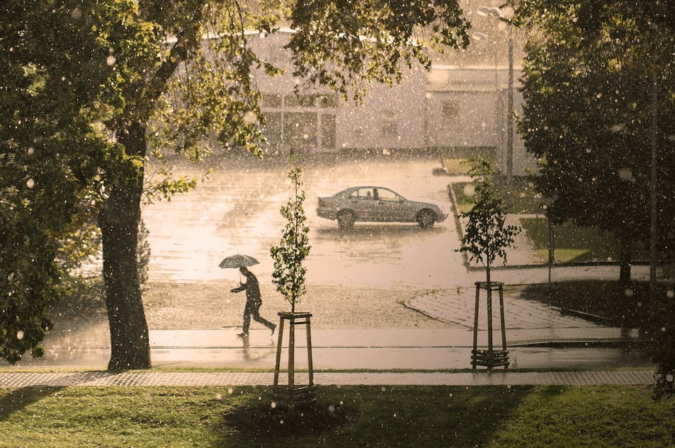 Das schlechte Wetter nutzen und sich persönlich weiterbilden. Jetzt wäre ein guter Zeitpunkt etwas für seine finanzielle Bildung zu tun.