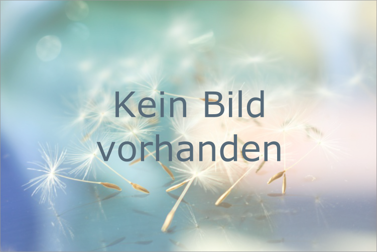 Reisepartner/ in gesucht