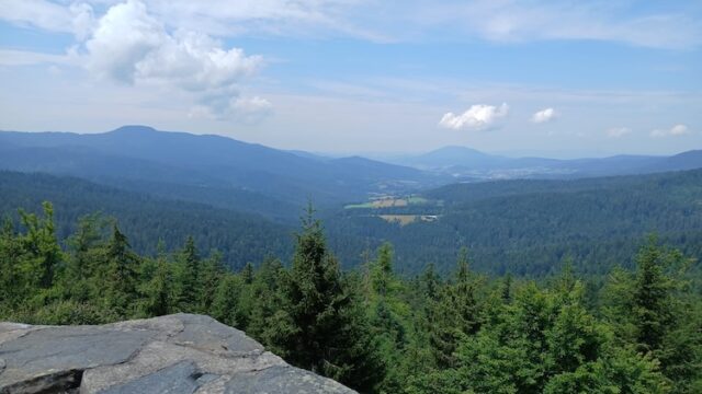 Wer begleitet mich in den Bayerischen Wald?