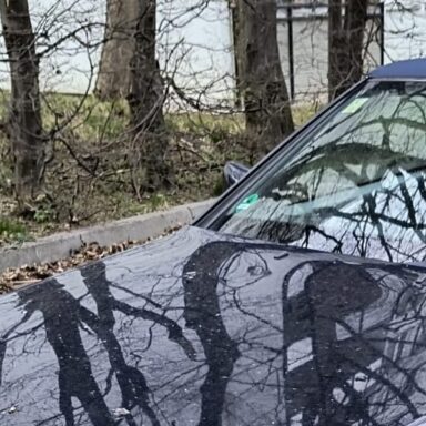 Profilfoto von Don.Dom.1