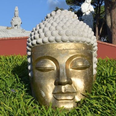 Profilfoto von faultier