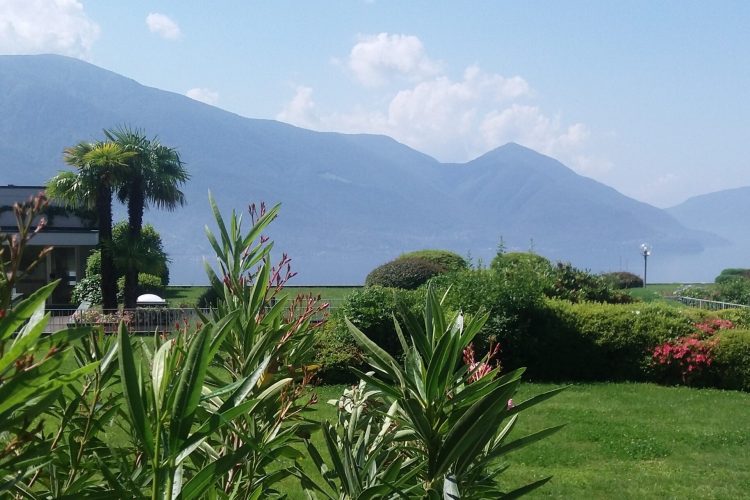 20190612_110807-2-scaled-1.jpg