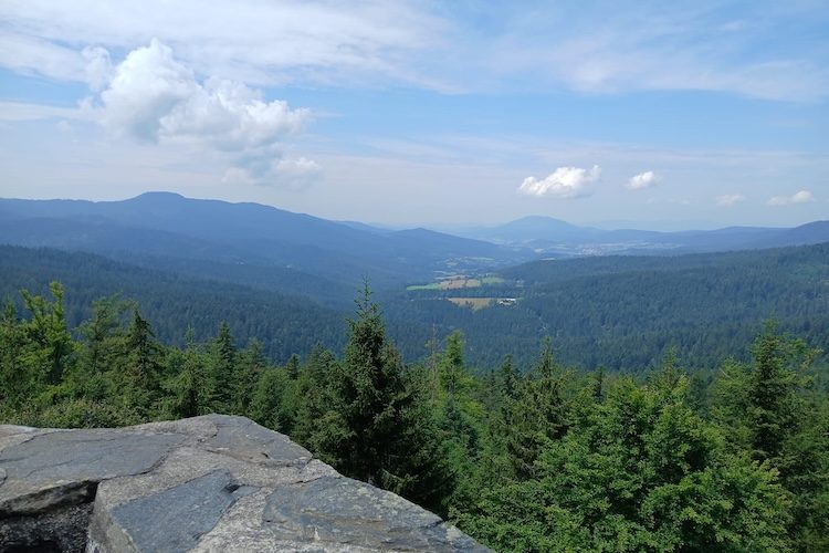 Wer begleitet mich in den Bayerischen Wald?