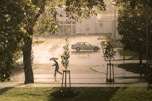 Das schlechte Wetter nutzen und sich persönlich weiterbilden. Jetzt wäre ein guter Zeitpunkt etwas für seine finanzielle Bildung zu tun.