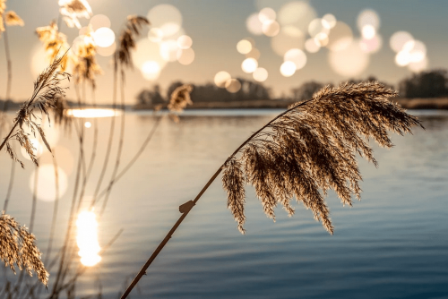 pixabay_6021951 pixabay_6021951
